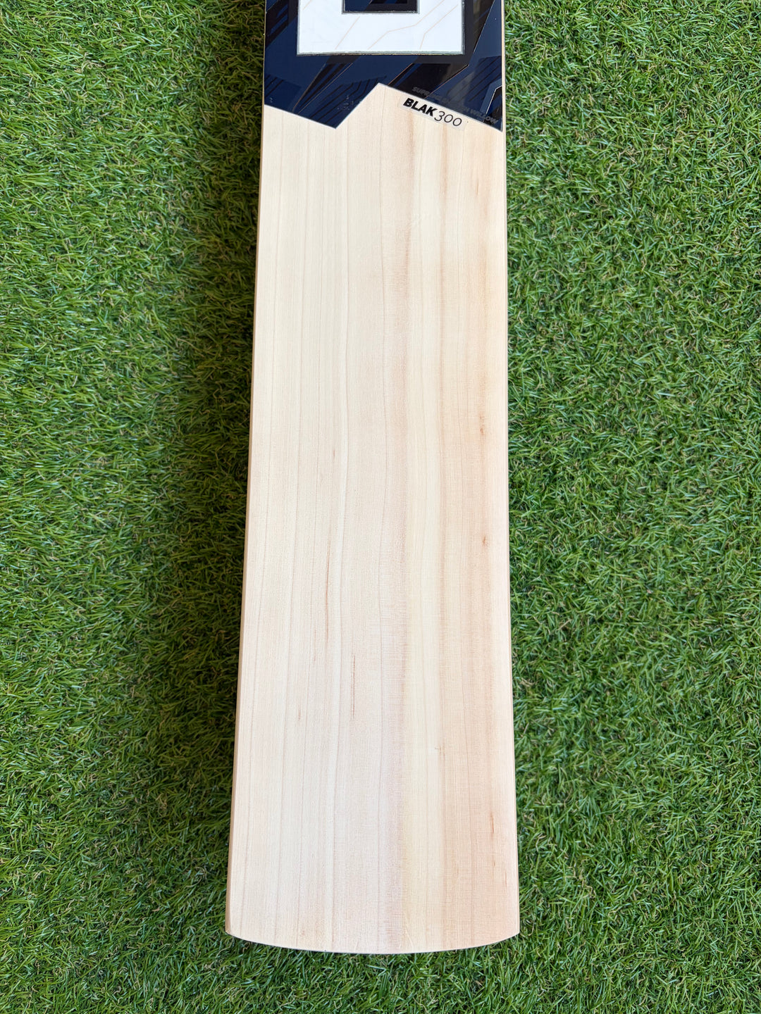 DSC Blak 300 Cricket Bat