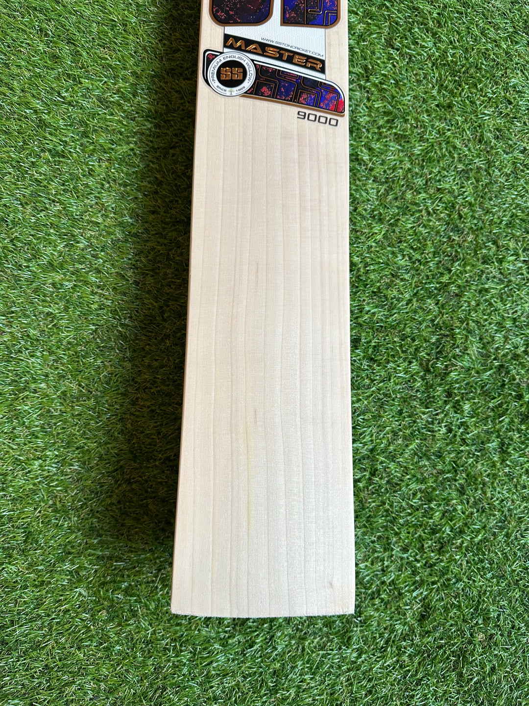 SS TON Master 9000 Cricket Bat