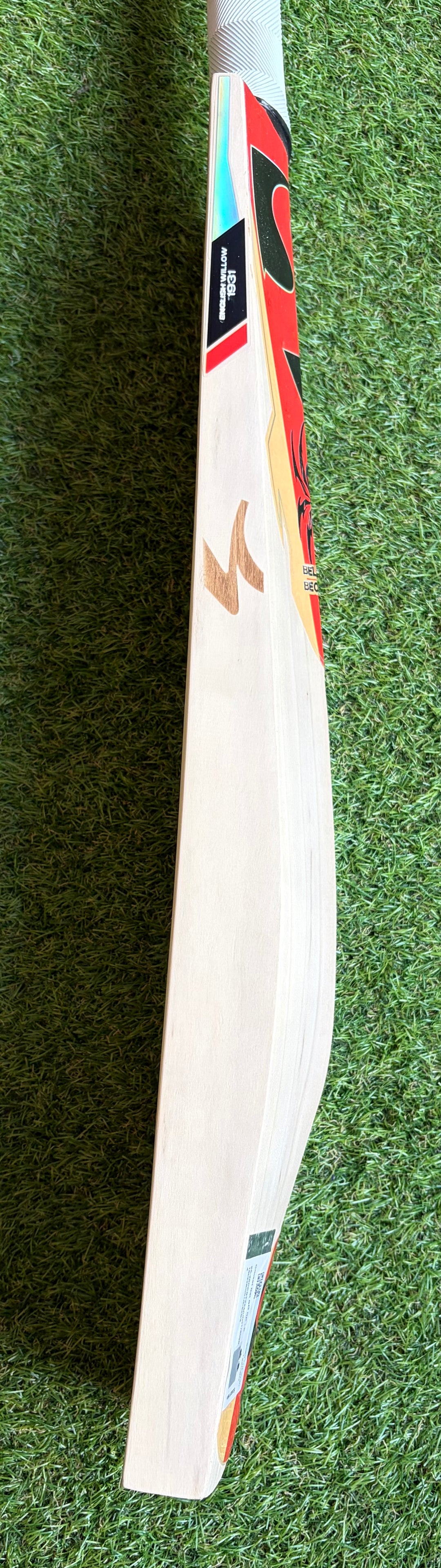 SG RP Limited Edition Cricket Bat | New Model