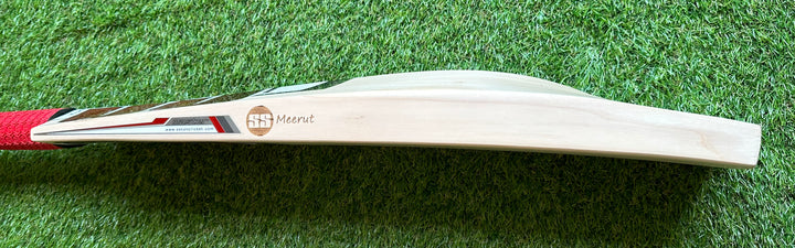 SS TON Master 9000 Cricket Bat