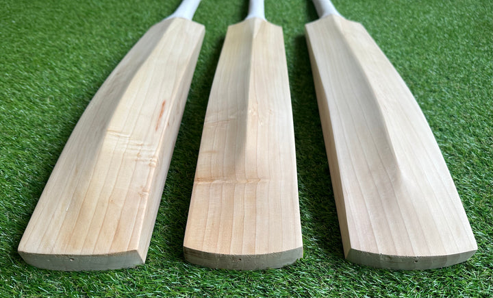 Plain Players Grade 1+ Cricket Bat | Full Profile | Light Weight