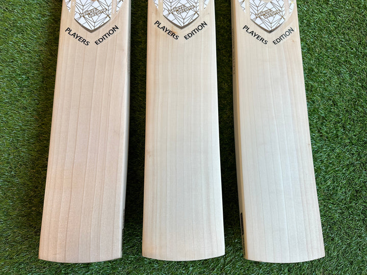 SG Players Gold Edition Harrow Cricket Bat