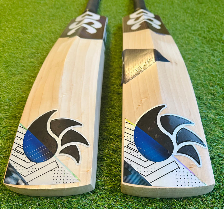 DSC Blak 450 Cricket Bat | New Model