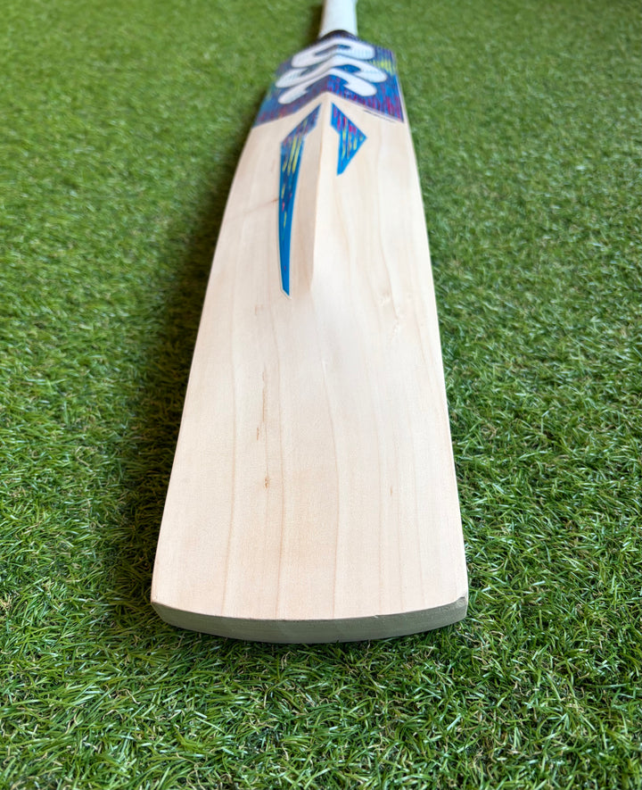 DSC Blu 222 Cricket Bat