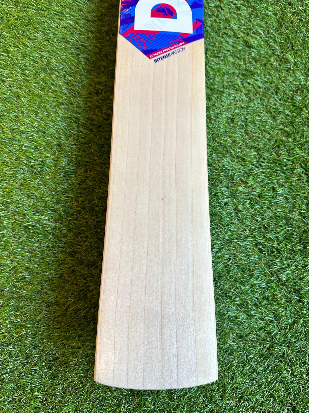 DSC Intense Passion Cricket Bat