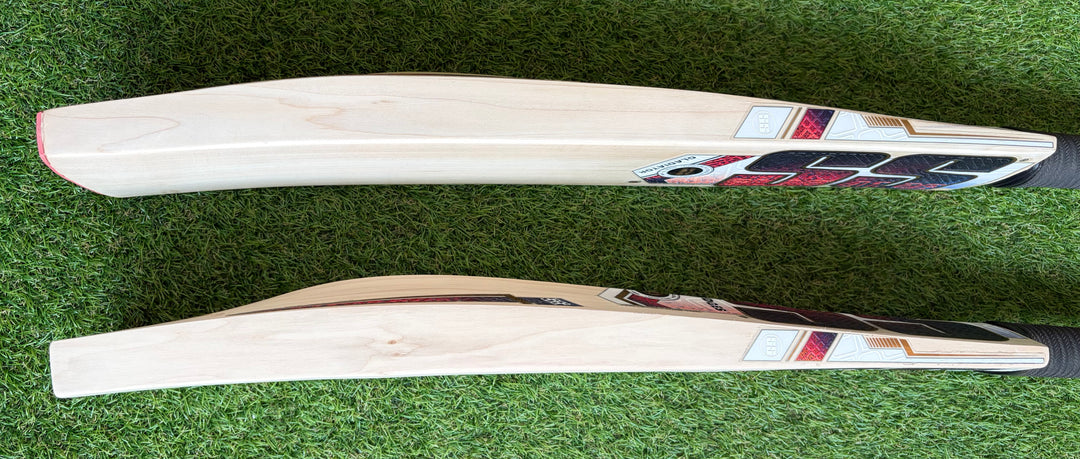 SS TON Gladiator Cricket Bat | Size 6