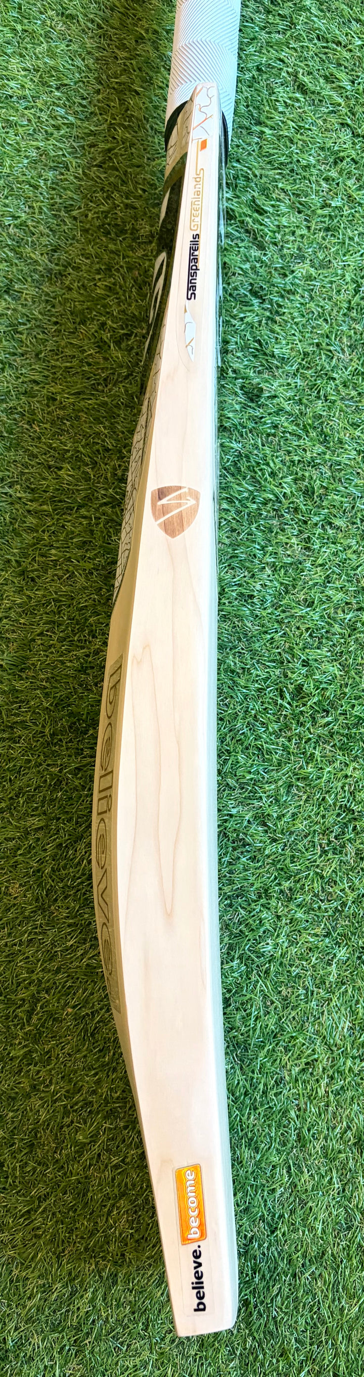 SG Players Gold Edition Cricket Bat | Players Willow