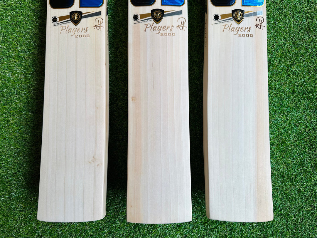 SS TON Players 2000 Blue Edition Cricket Bat | 40mm Edges