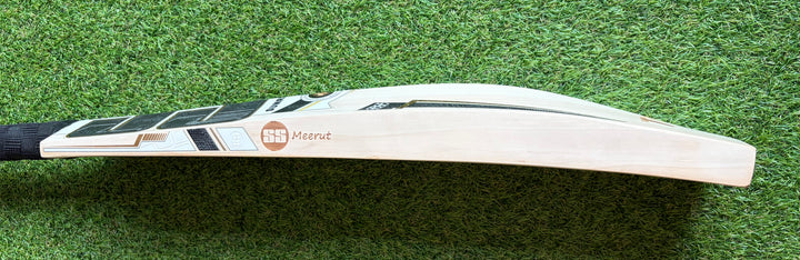 SS TON Limited Edition Players Cricket Bat
