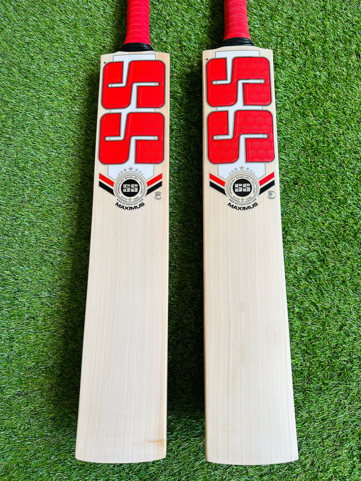 SS TON Maximus Cricket Bat | Pro Issue