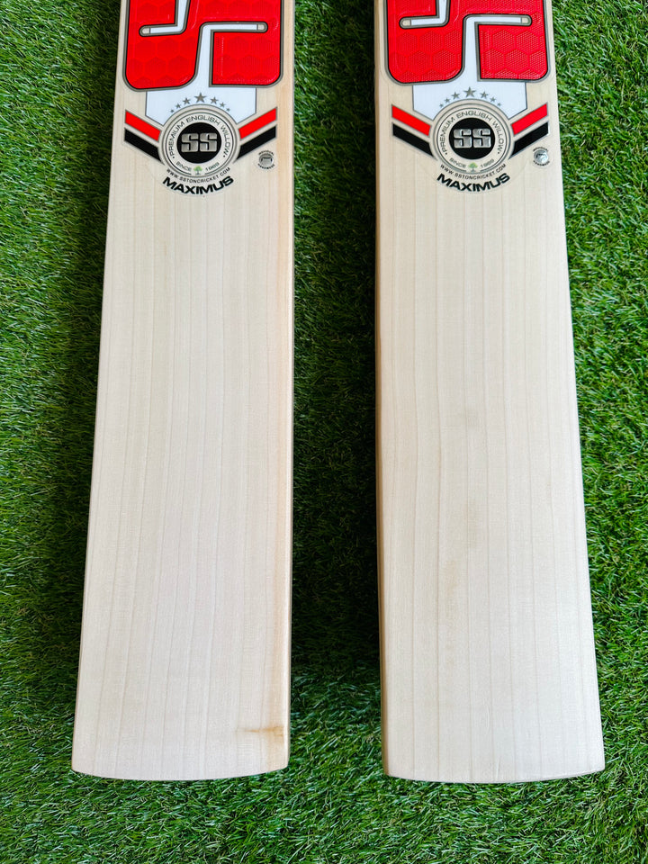 SS TON Maximus Cricket Bat | Pro Issue