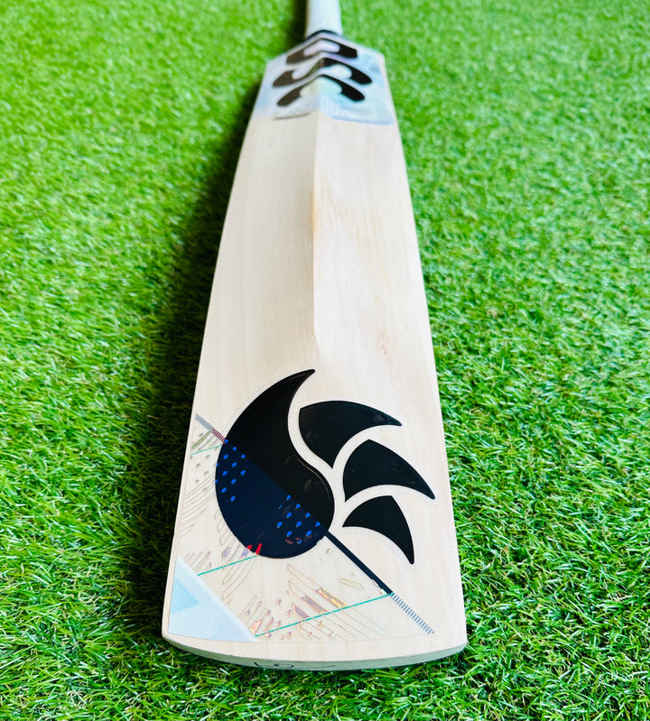 DSC Condor Glider Cricket Bat