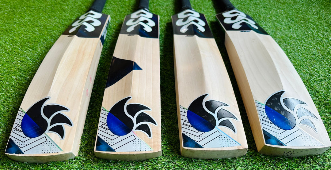 DSC Blak 350 Cricket Bat