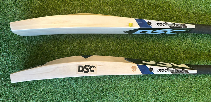 DSC Blak 450 Cricket Bat | New Model