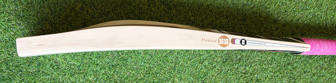 SS TON Gladiator Cricket Bat