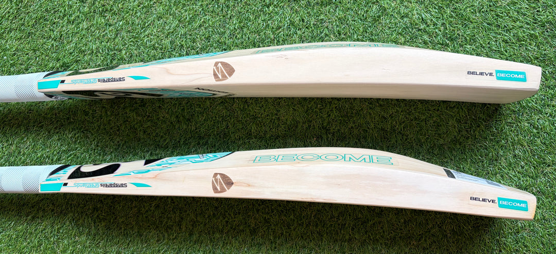 SG Players Edition Cricket Bat | New Model