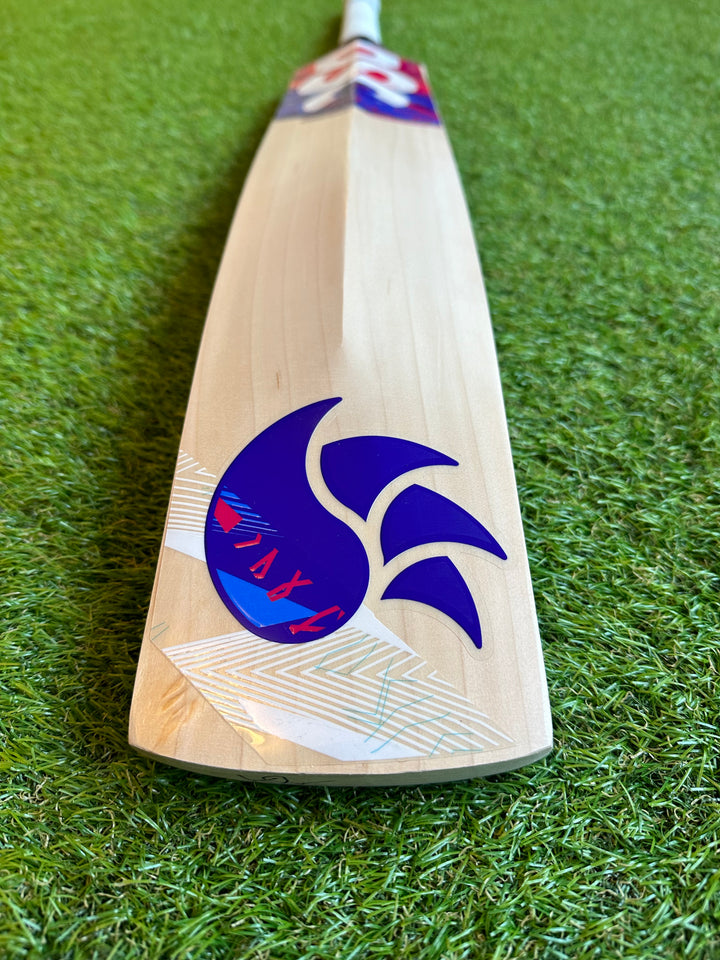 DSC Intense Passion Cricket Bat