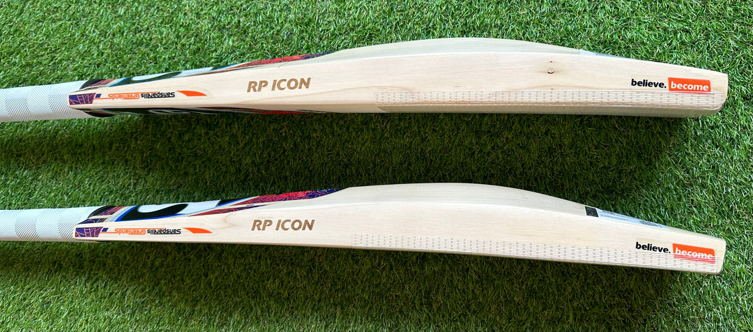 SG RP Icon Cricket Bat | New Model