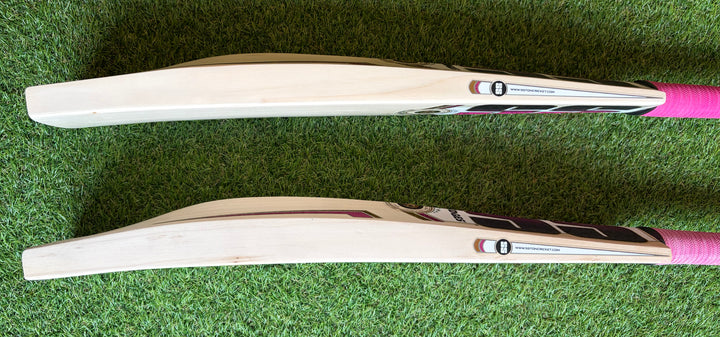 SS TON Gladiator Cricket Bat | Size 6