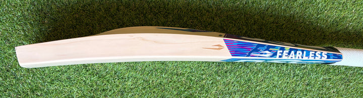 DSC Blu 222 Cricket Bat