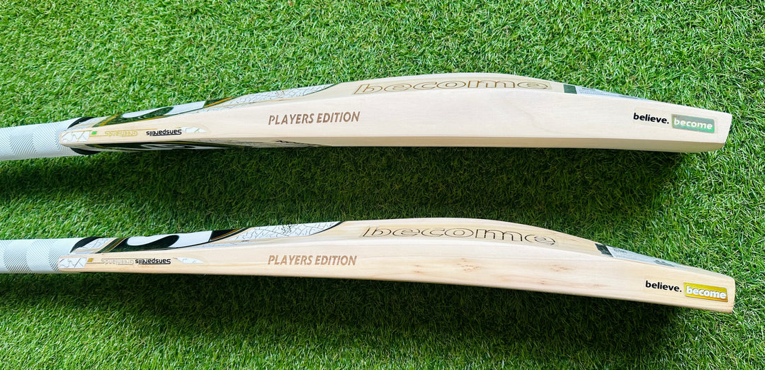 SG Players Gold Edition Harrow Cricket Bat