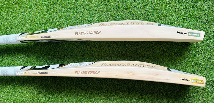 SG Players Gold Edition Harrow Cricket Bat