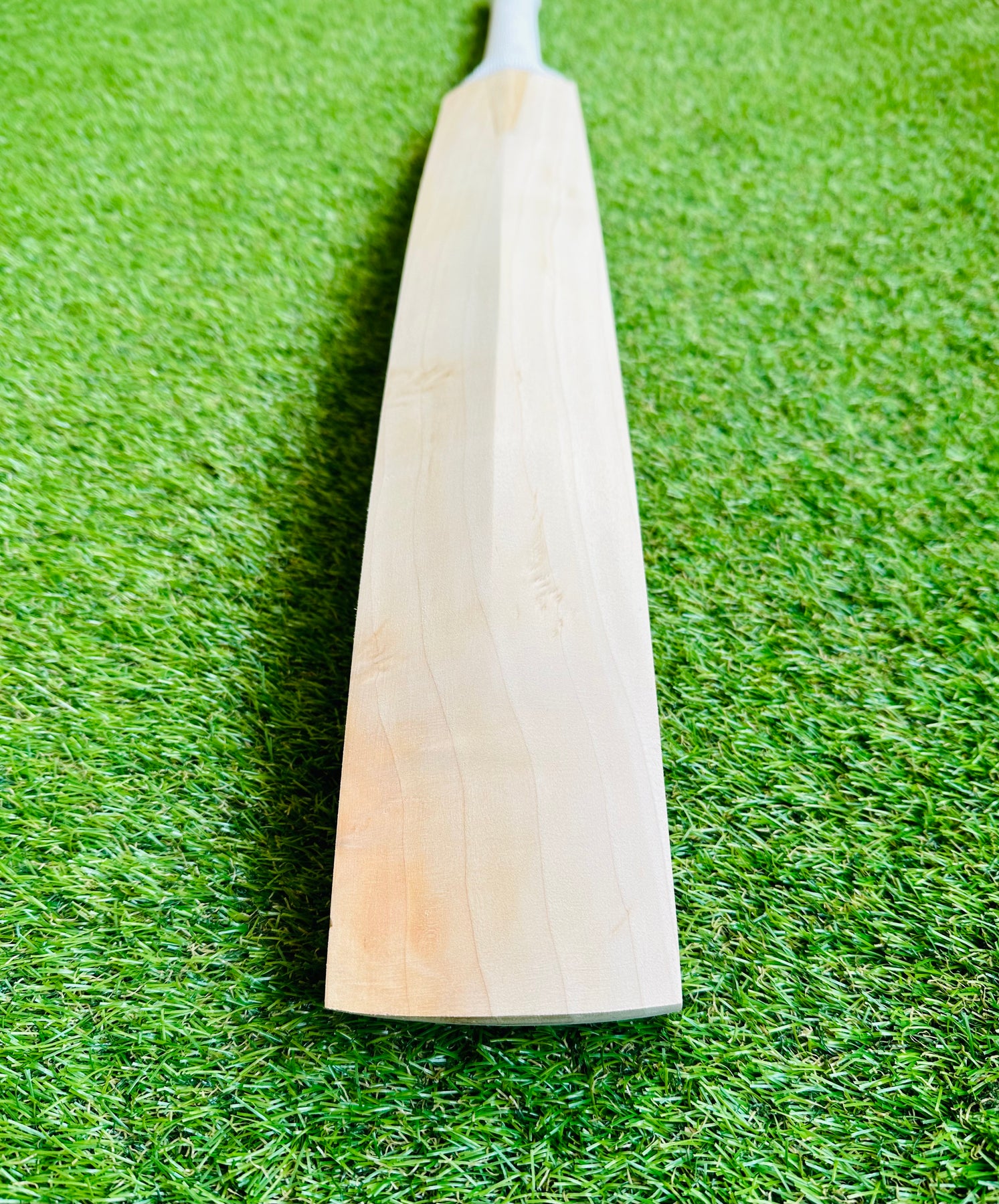 Plain Middling Bat | Ideal for Training – DKP Cricket