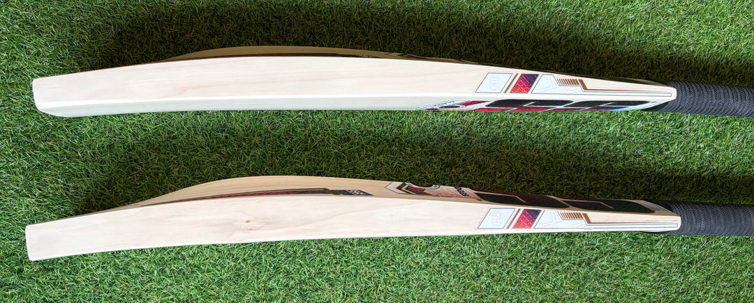 SS TON Gladiator Cricket Bat | Size 6
