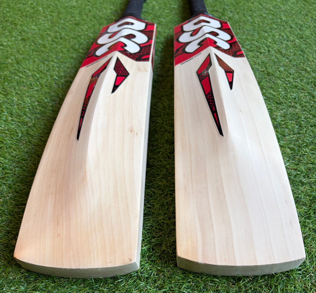 DSC Intense Rage Cricket Bat |  New Model | Harrow Size
