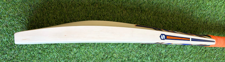 Somi MSD Player Cricket Bat