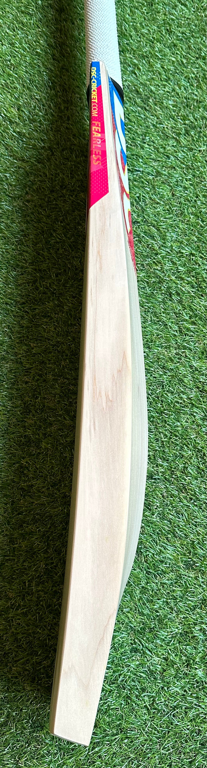 DSC Intense Shoc Cricket Bat