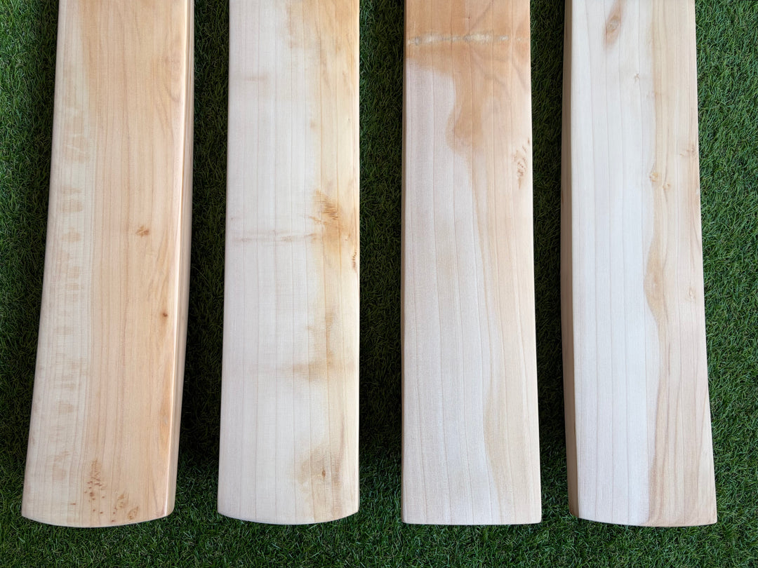 Plain Butterfly English Willow Cricket Bat