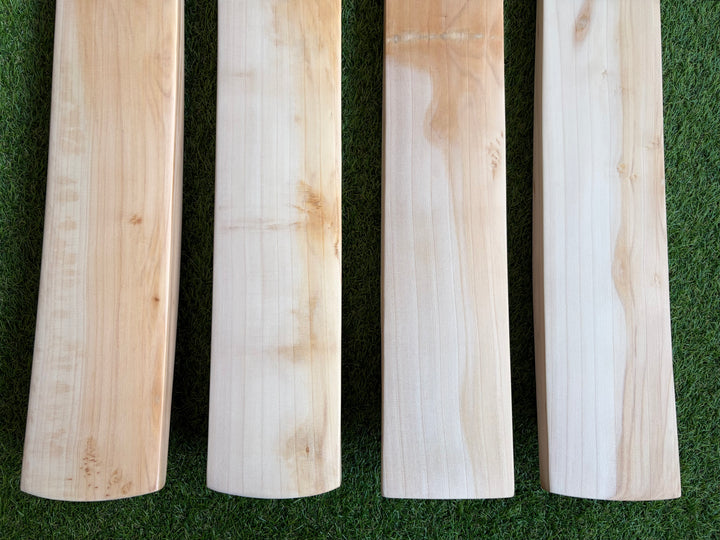 Plain Butterfly English Willow Cricket Bat