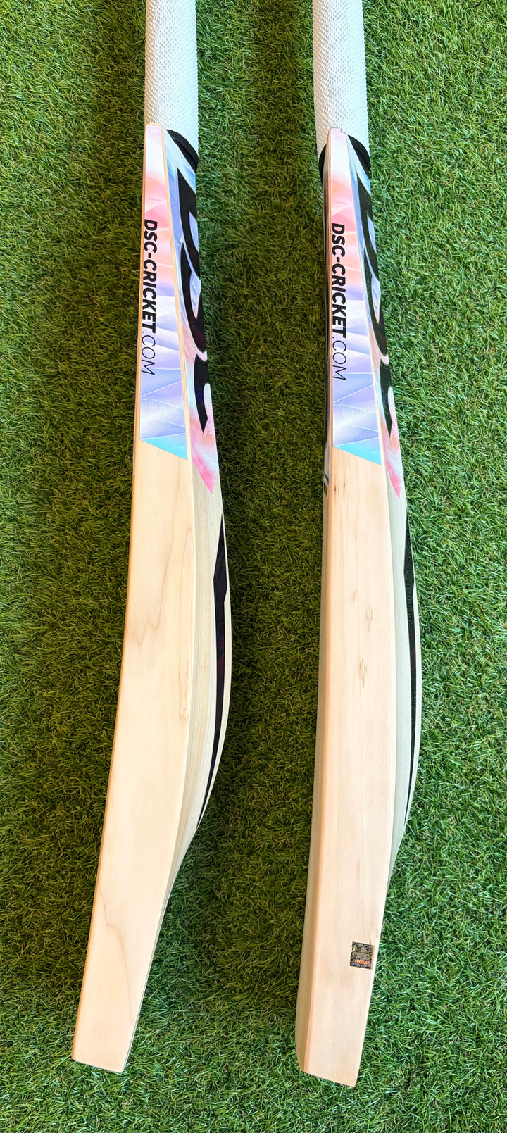 DSC Condor Glider Cricket Bat | New Model