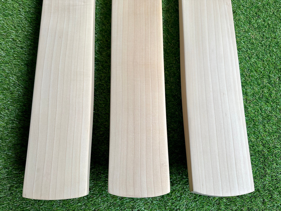 Plain Players Grade 1+ Cricket Bat | Full Profile | Light Weight