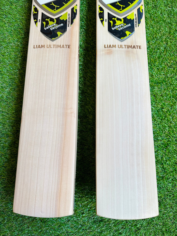 SG Liam Ultimate Cricket Bat