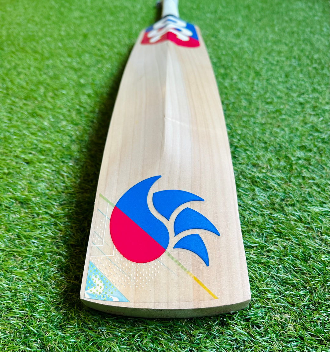 DSC Intense Shoc Cricket Bat