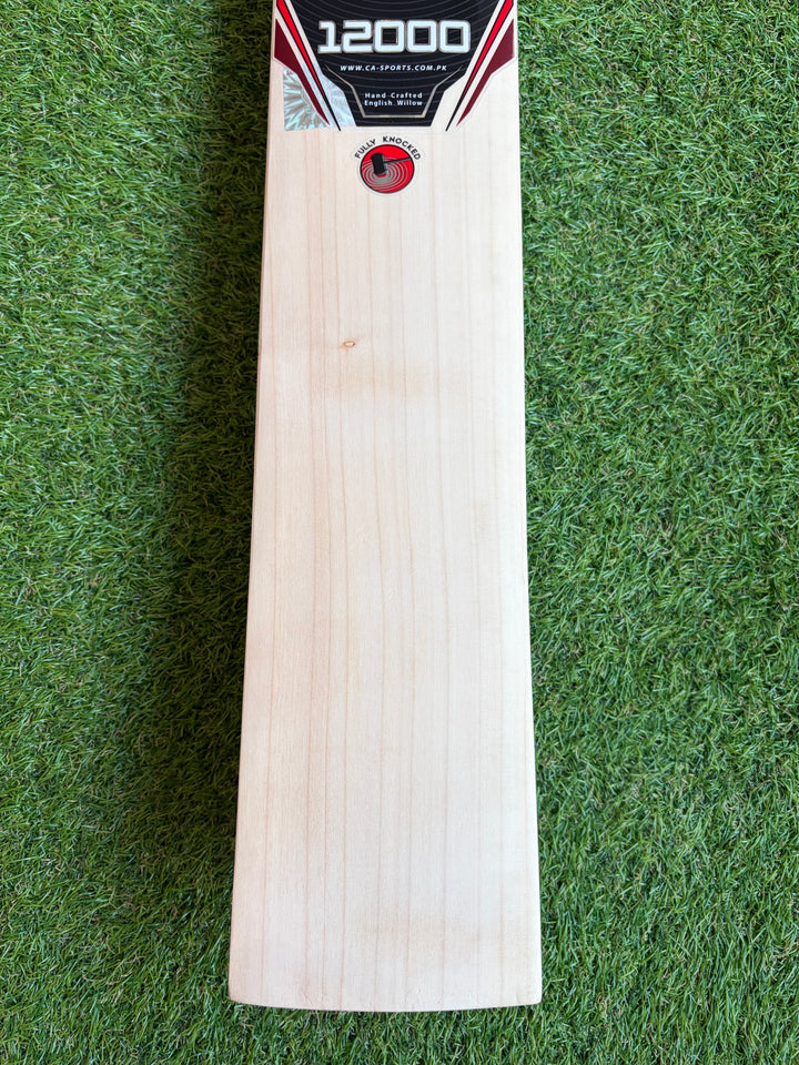 CA 12000 Pro Edition Cricket Bat