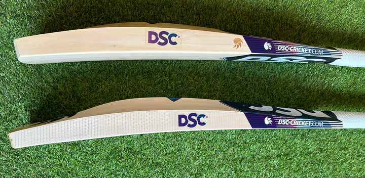 DSC Blu 100 Cricket Bat