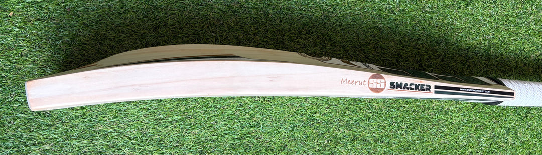 SS TON Smacker Signature Cricket Bat