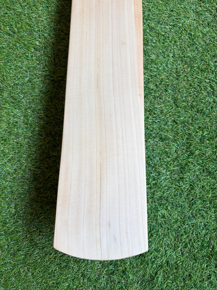 SG Pro Cricket Bat | New Model