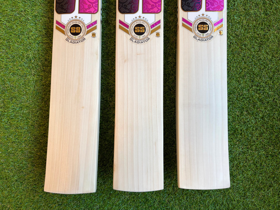 SS TON Gladiator Cricket Bat | Size 5