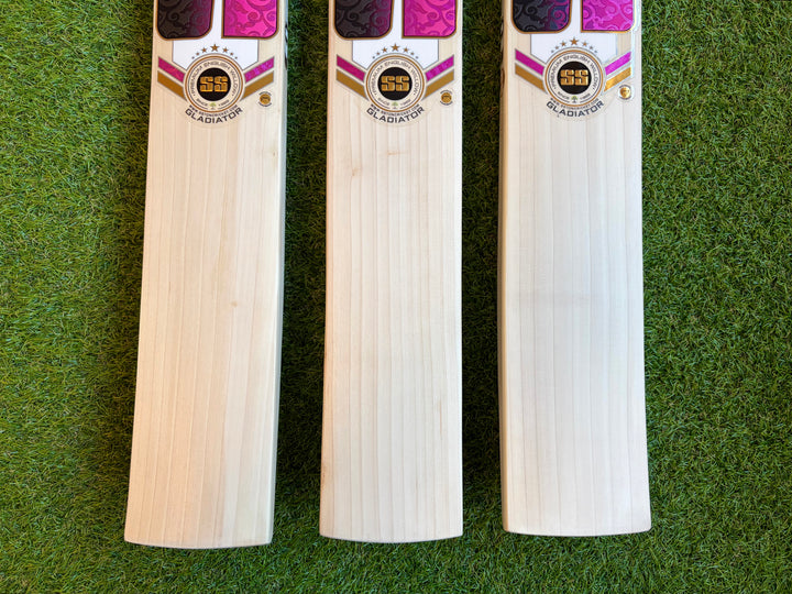 SS TON Gladiator Cricket Bat | Size 5