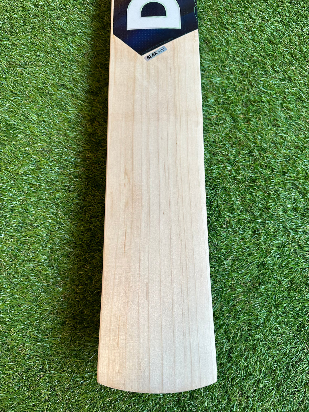DSC Blak 300 Cricket Bat