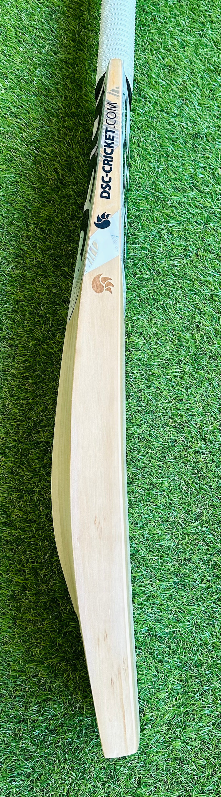 DSC Condor Surge Cricket Bat