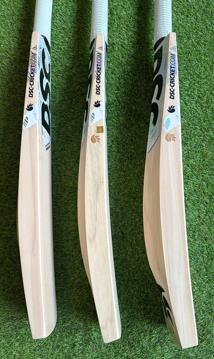 DSC Condor Glider Cricket Bat