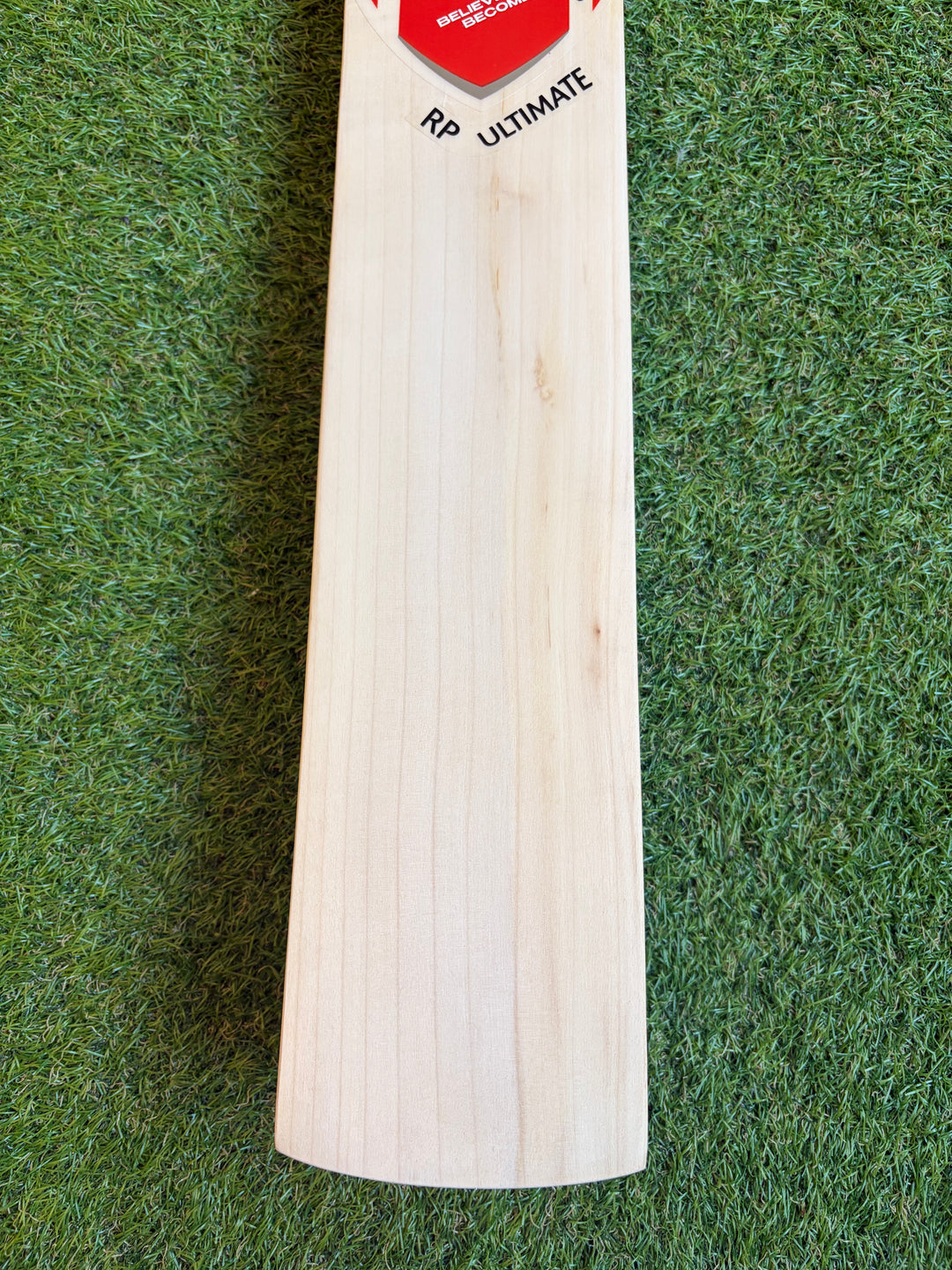 SG RP Ultimate Cricket Bat | New Model