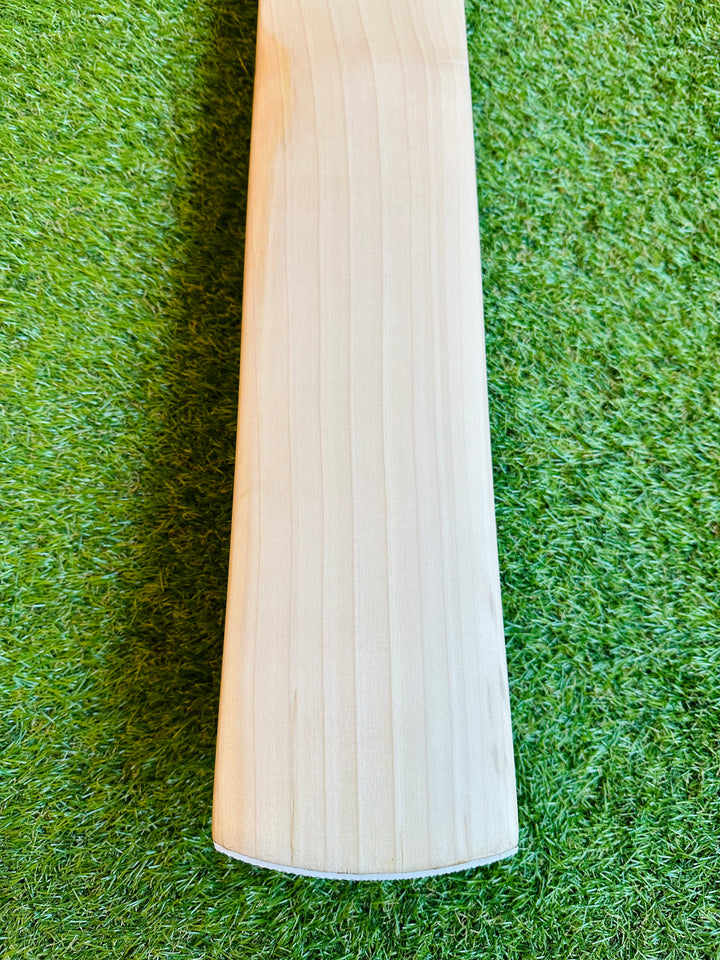 Plain Grade 1+ English Willow Cricket Bat | 38mm | Long Handle