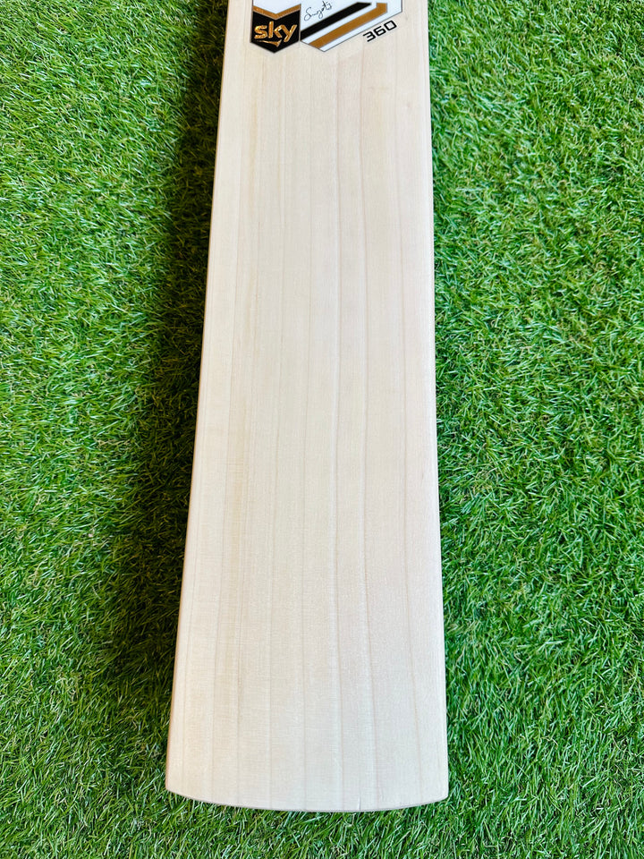 SS TON Sky 360 Players Cricket Bat | Long Blade