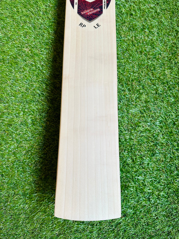 SG RP LE Cricket Bat | Size 5